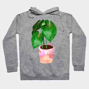 Philodendron Hoodie